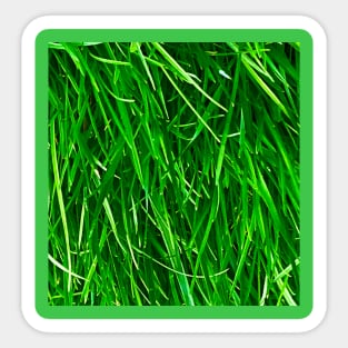 Grassy field Sticker